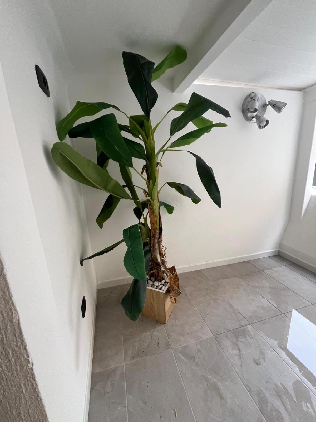 Margo Apartment Bari