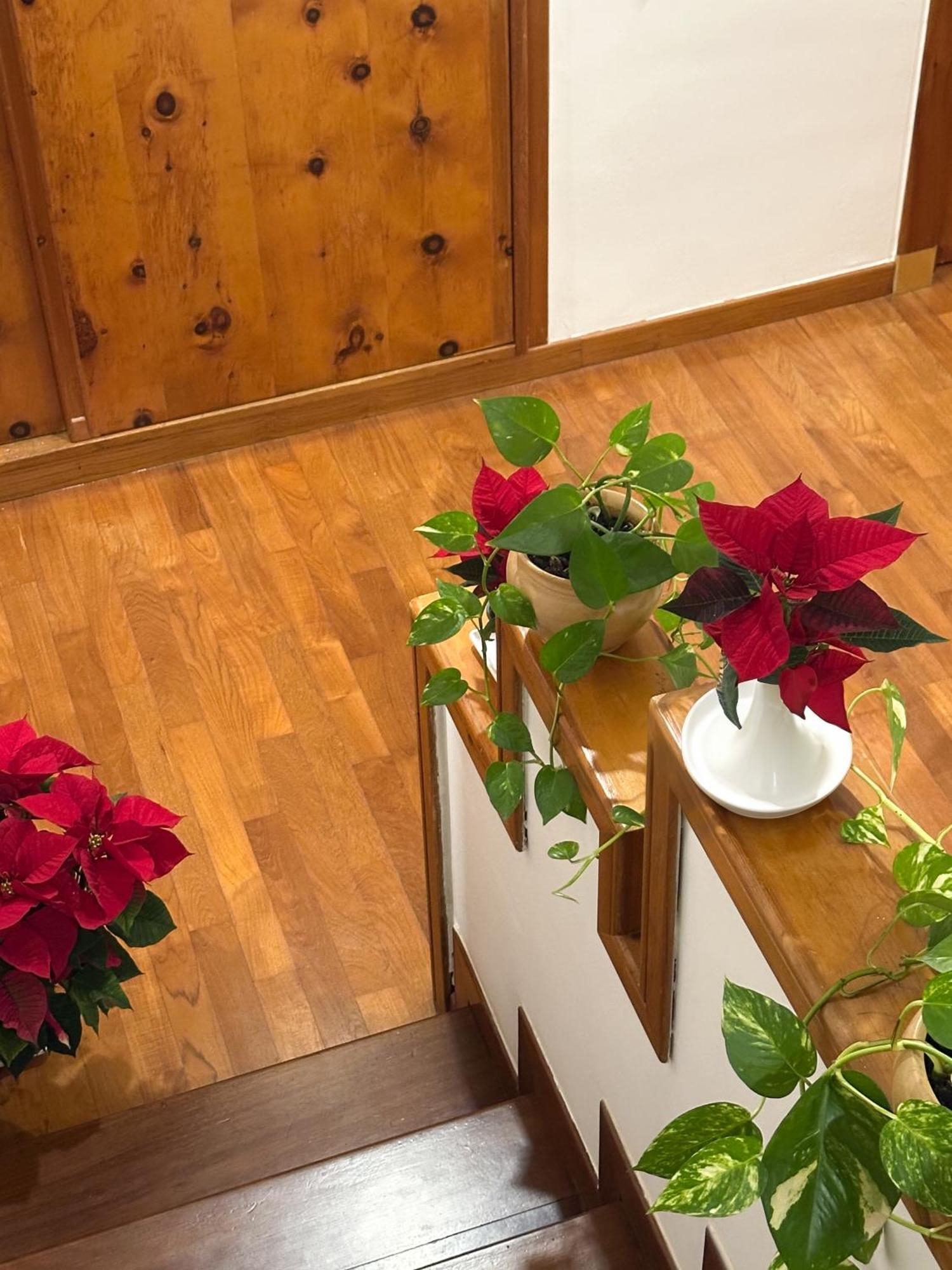 Le Foglie D'ulivo Bed & Breakfast