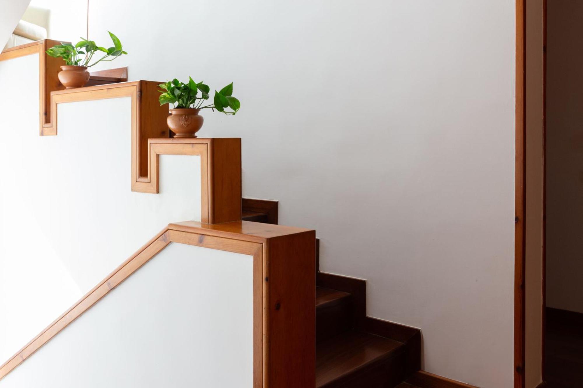 Le Foglie D'ulivo Bed & Breakfast *