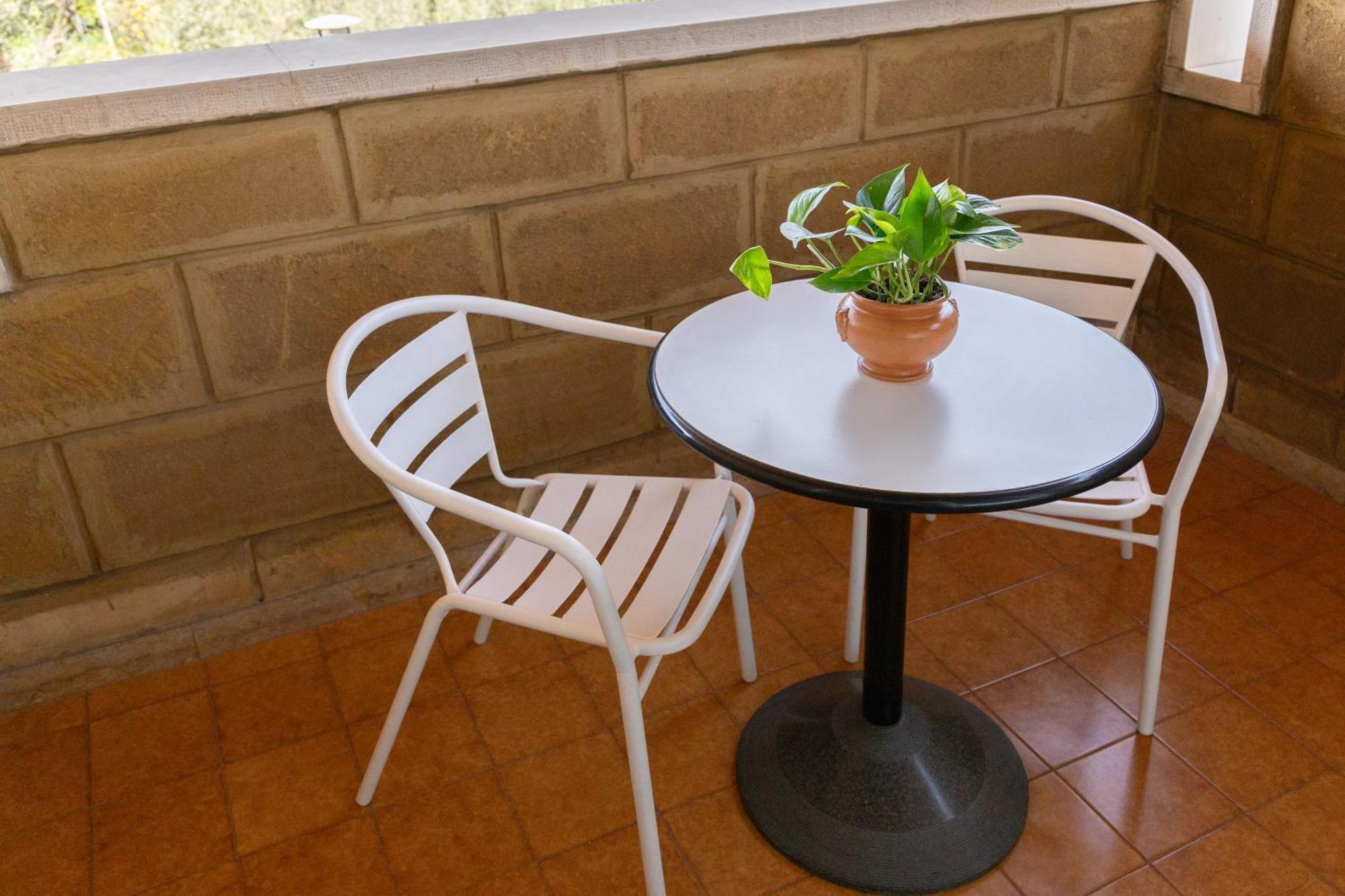 Le Foglie D'ulivo Bed & Breakfast