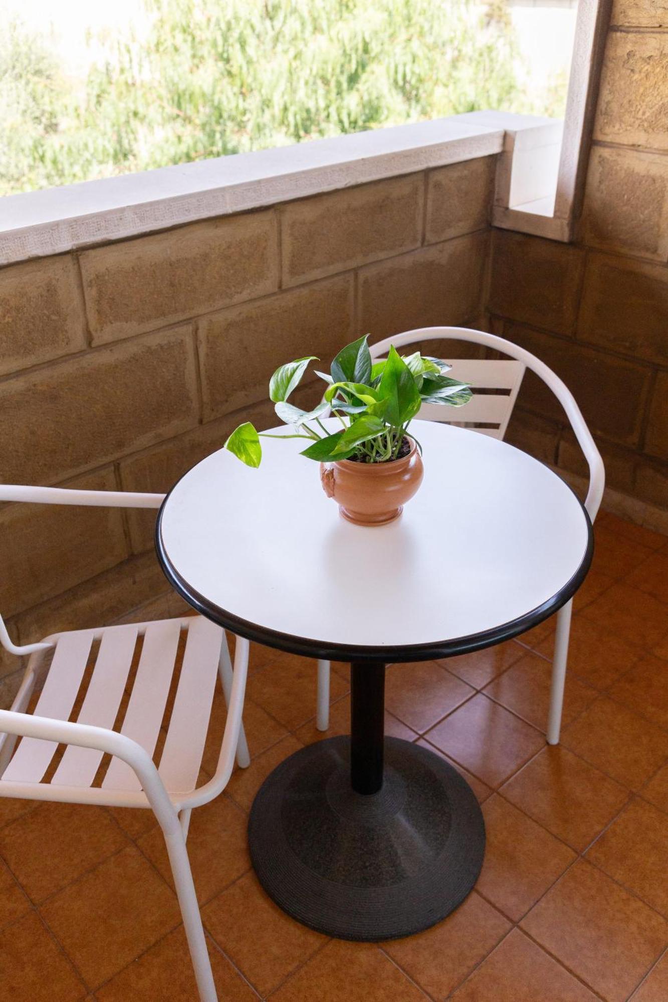 Le Foglie D'ulivo Bed & Breakfast Bari