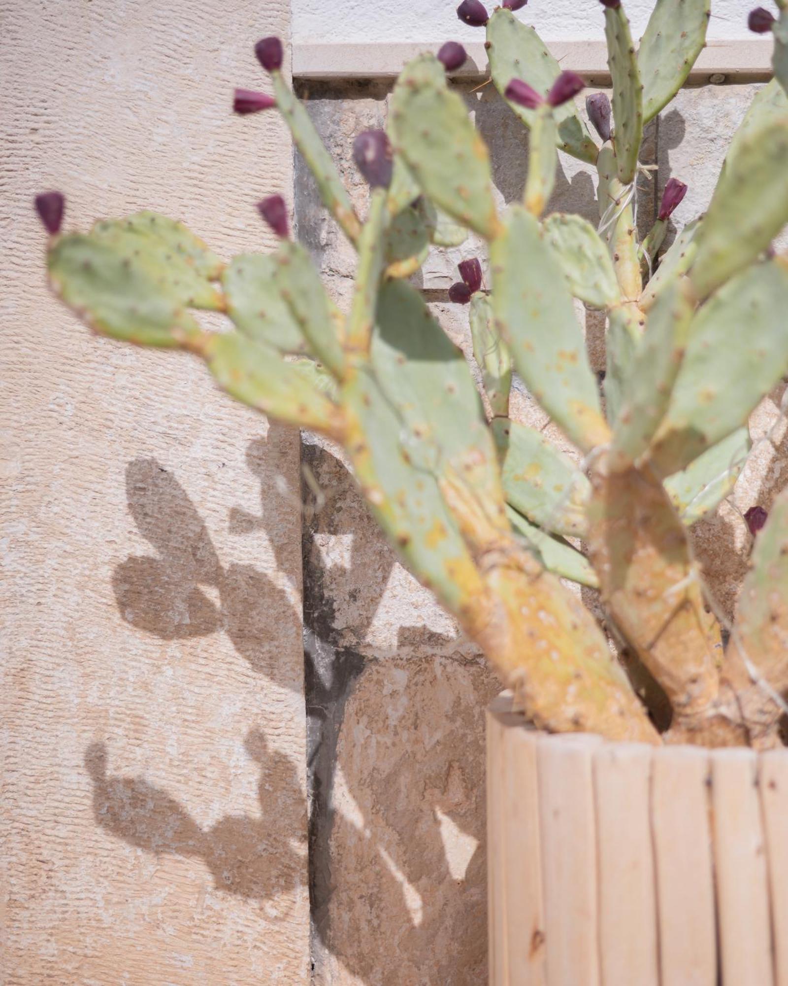 Vicoloterzo Bed & Breakfast Bari