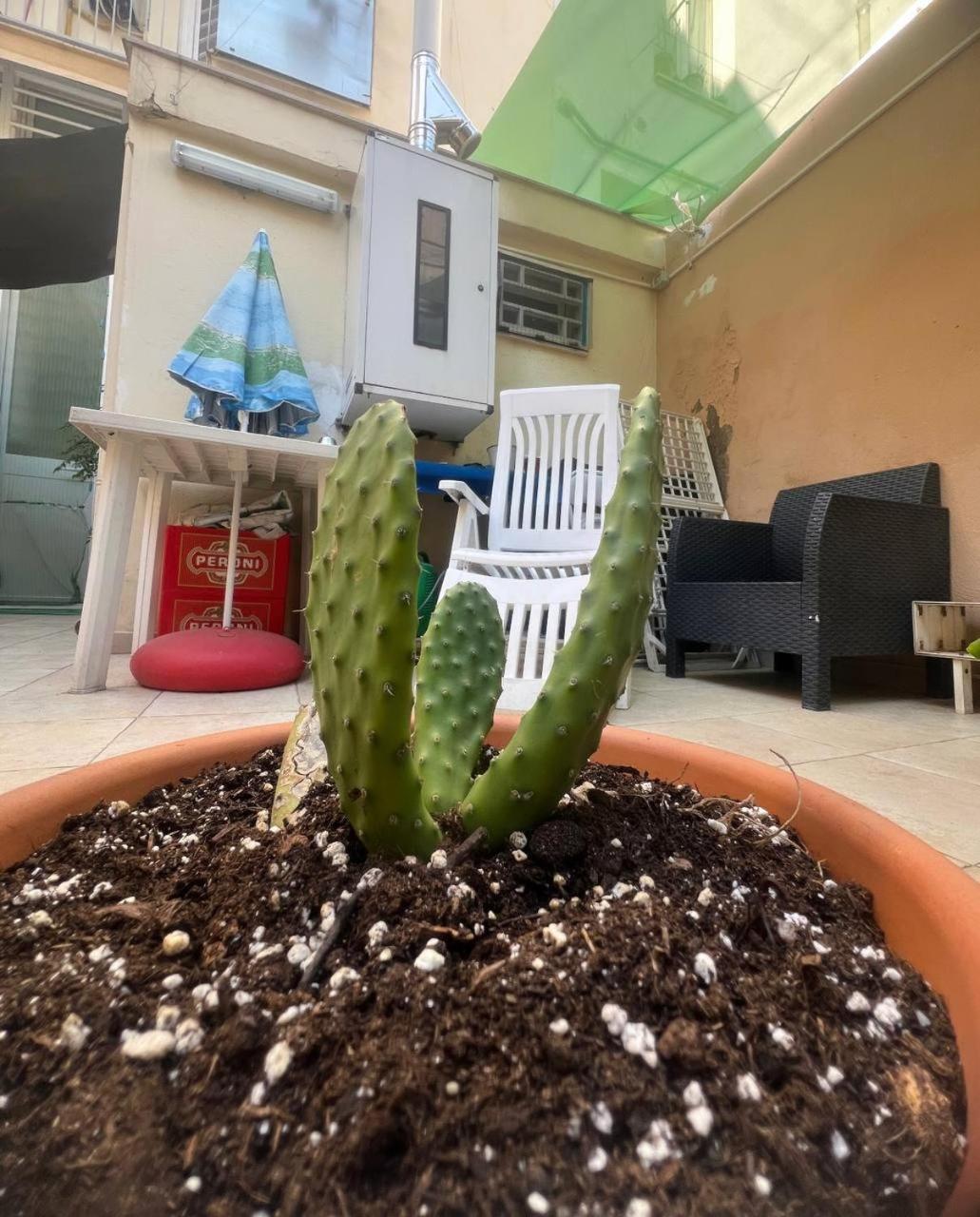 The Peppers Garden Holiday home *