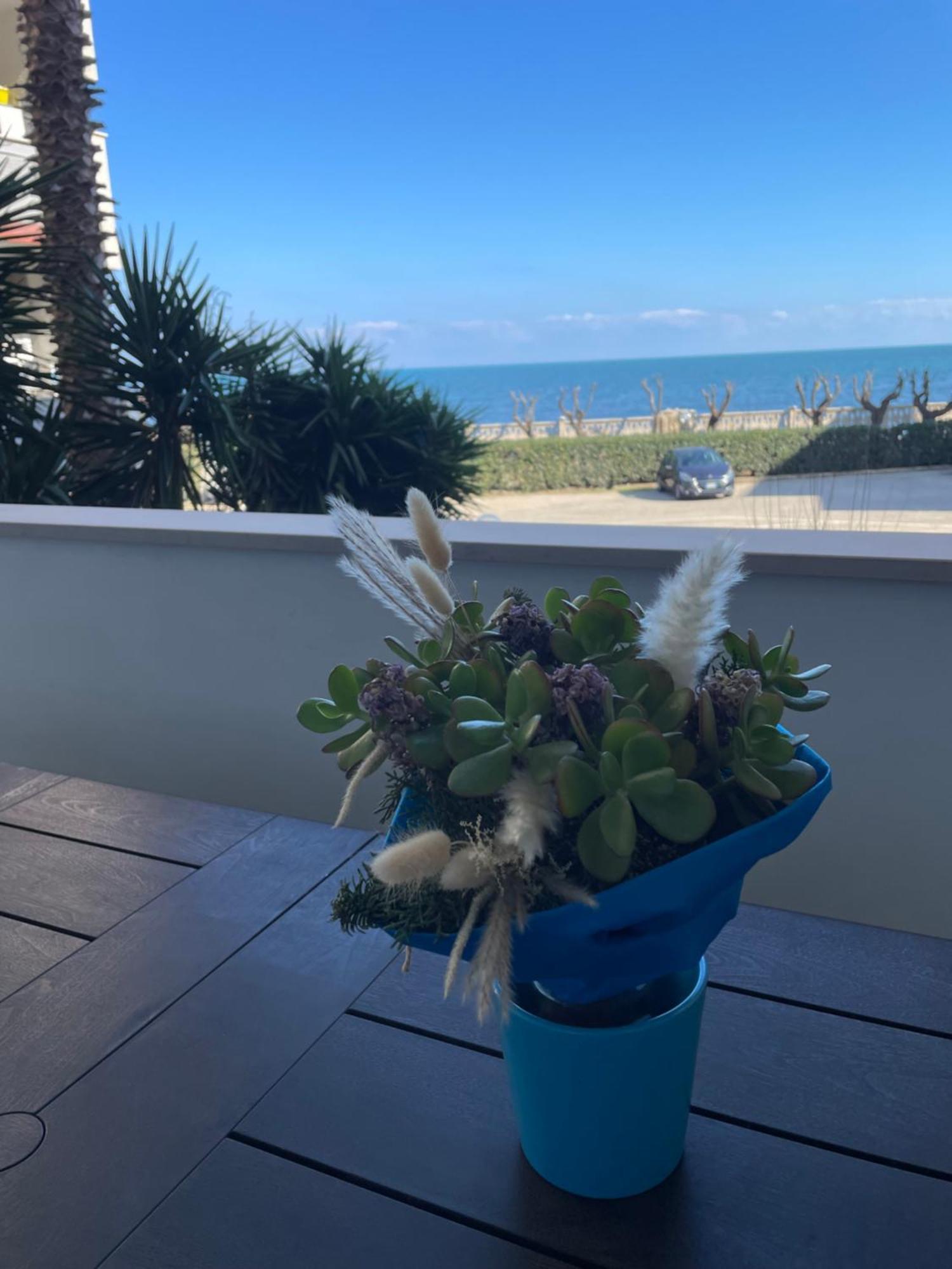 Stella Di Mare Blu *