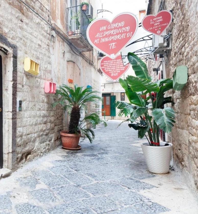 Il Sottano Del Cuore *