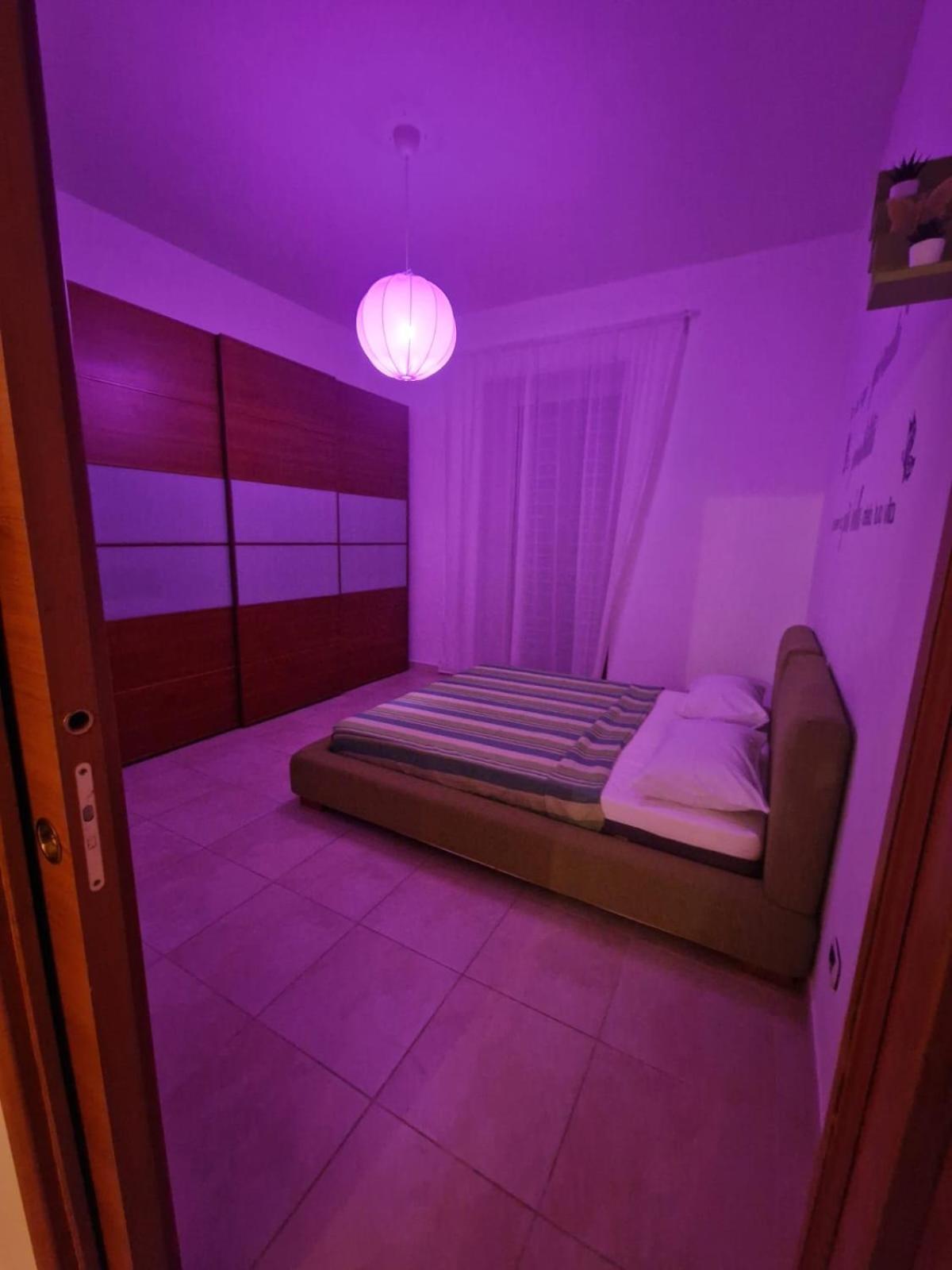 Butterfly Apartment *