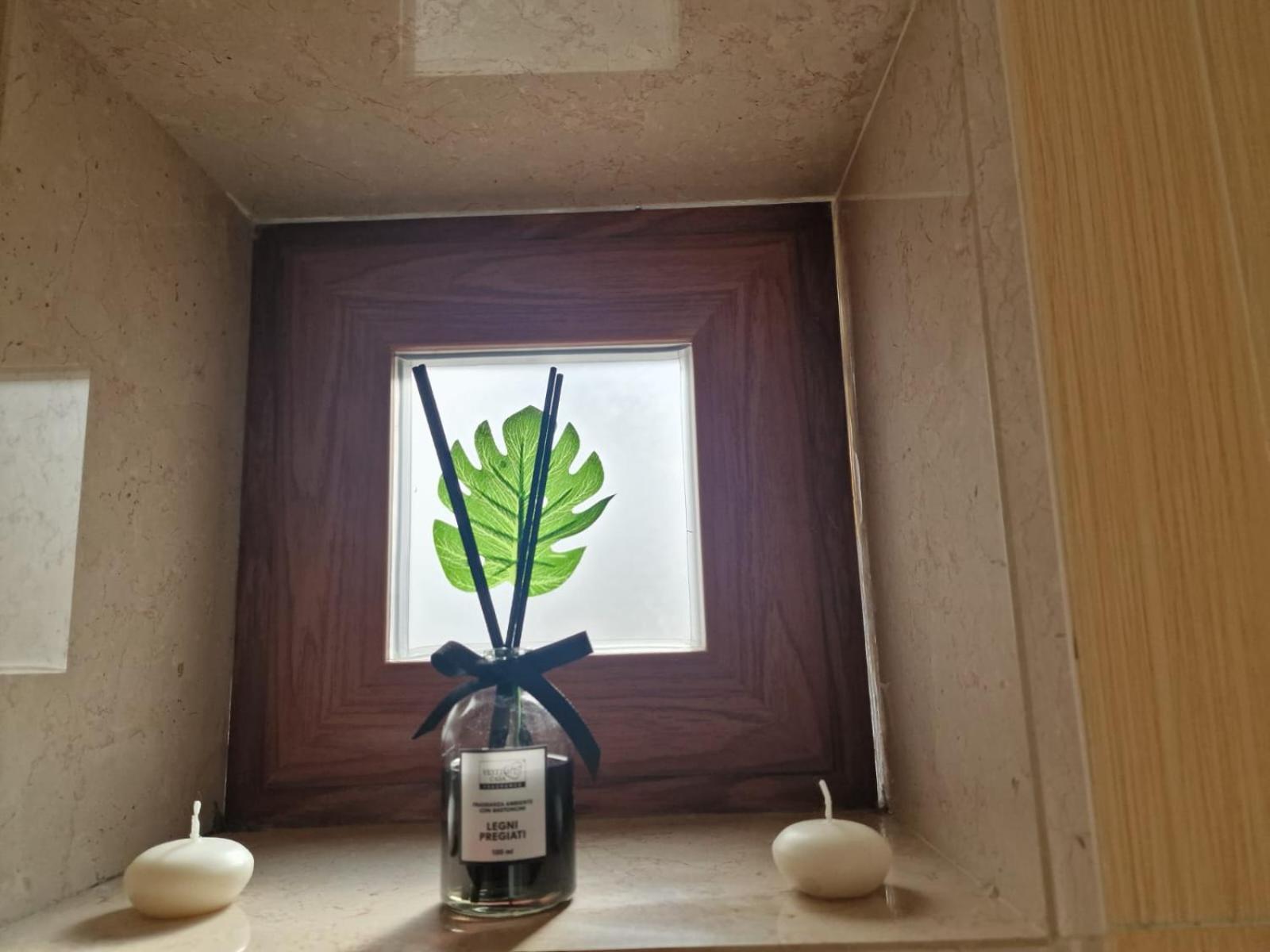 Butterfly Apartment