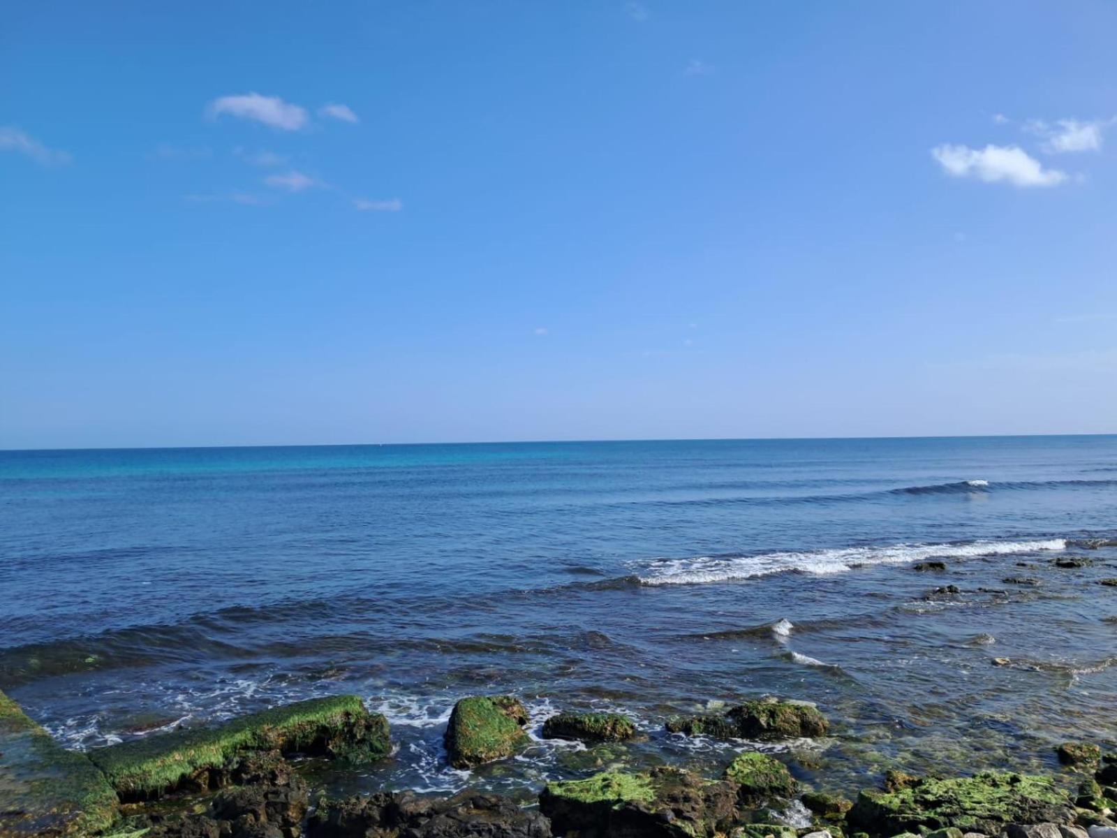 Apartment Domus Levante Bari