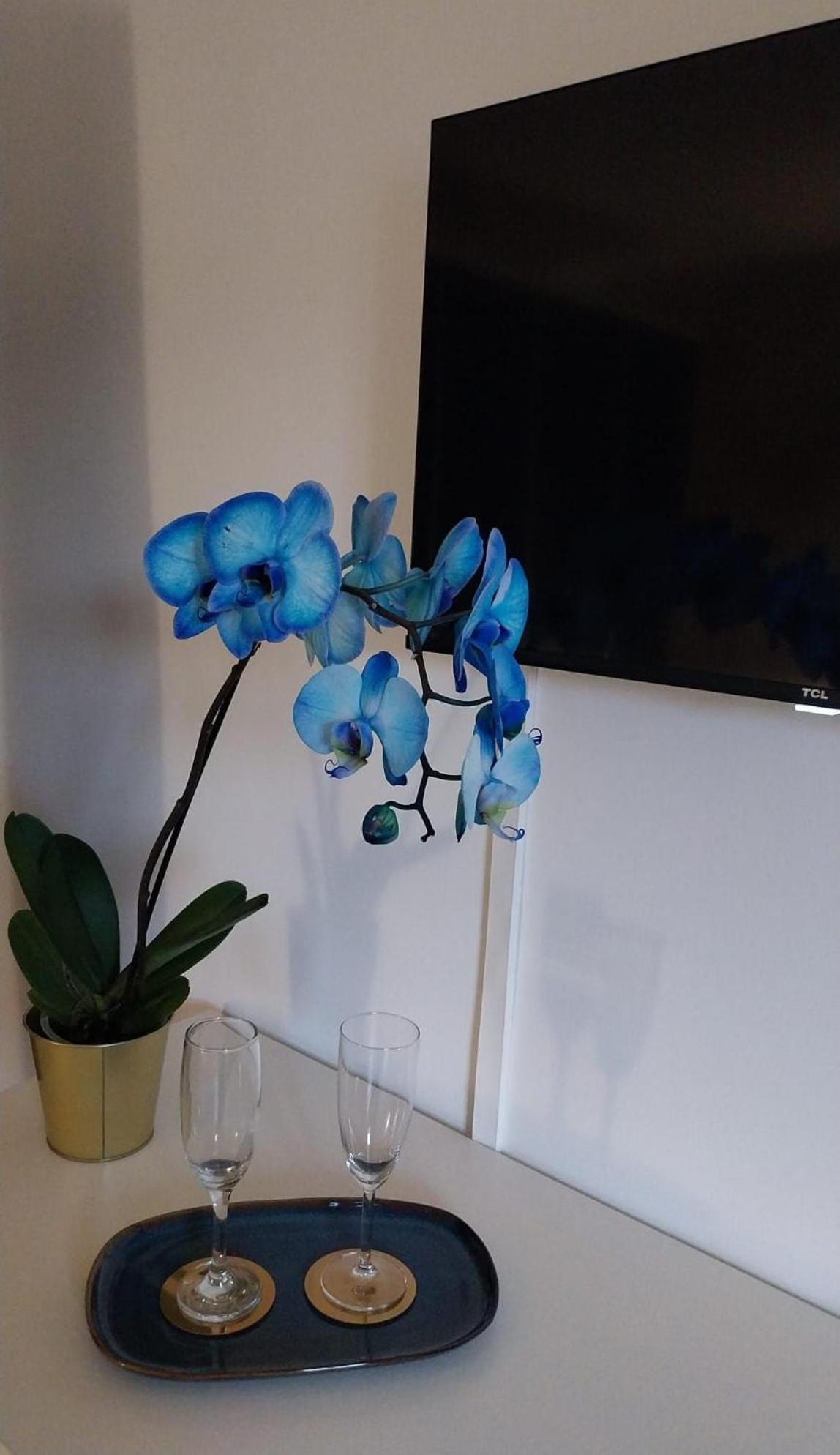 Blu Marina Apartment *