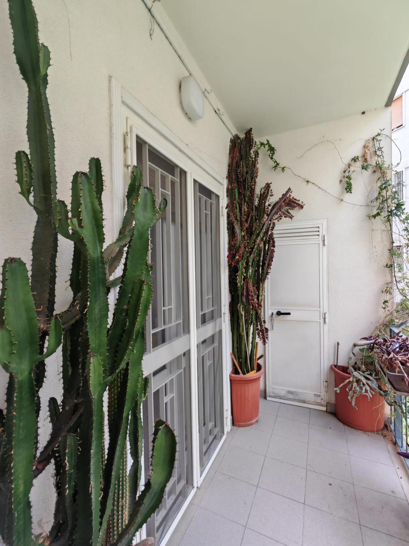 Apartamento Mandragora #11 Howme