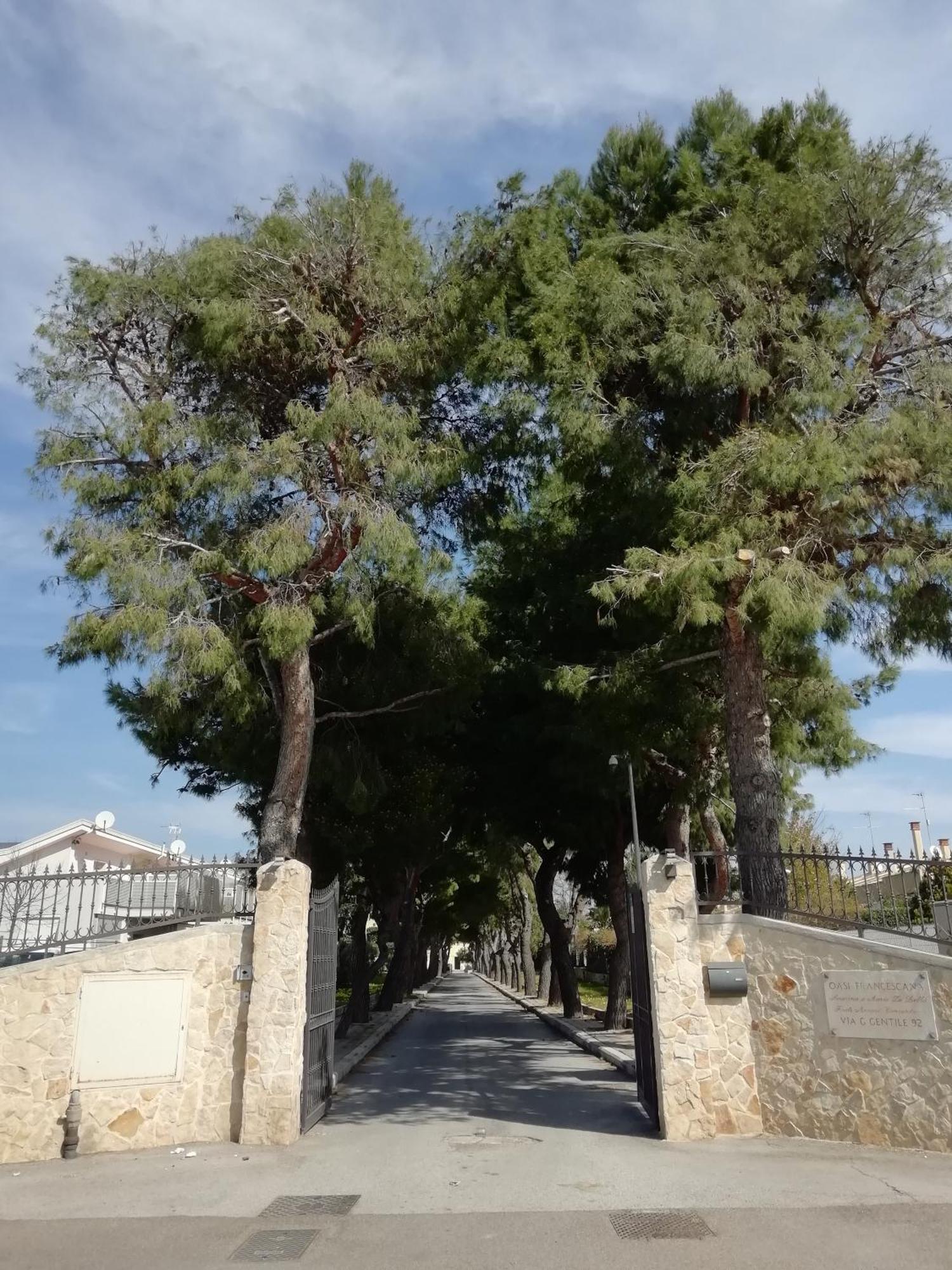 Casa Di Ospitalita Religiosa San Francesco D'assisi - Ba Bari
