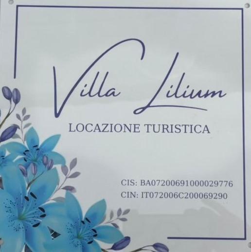 Lilium * Bari