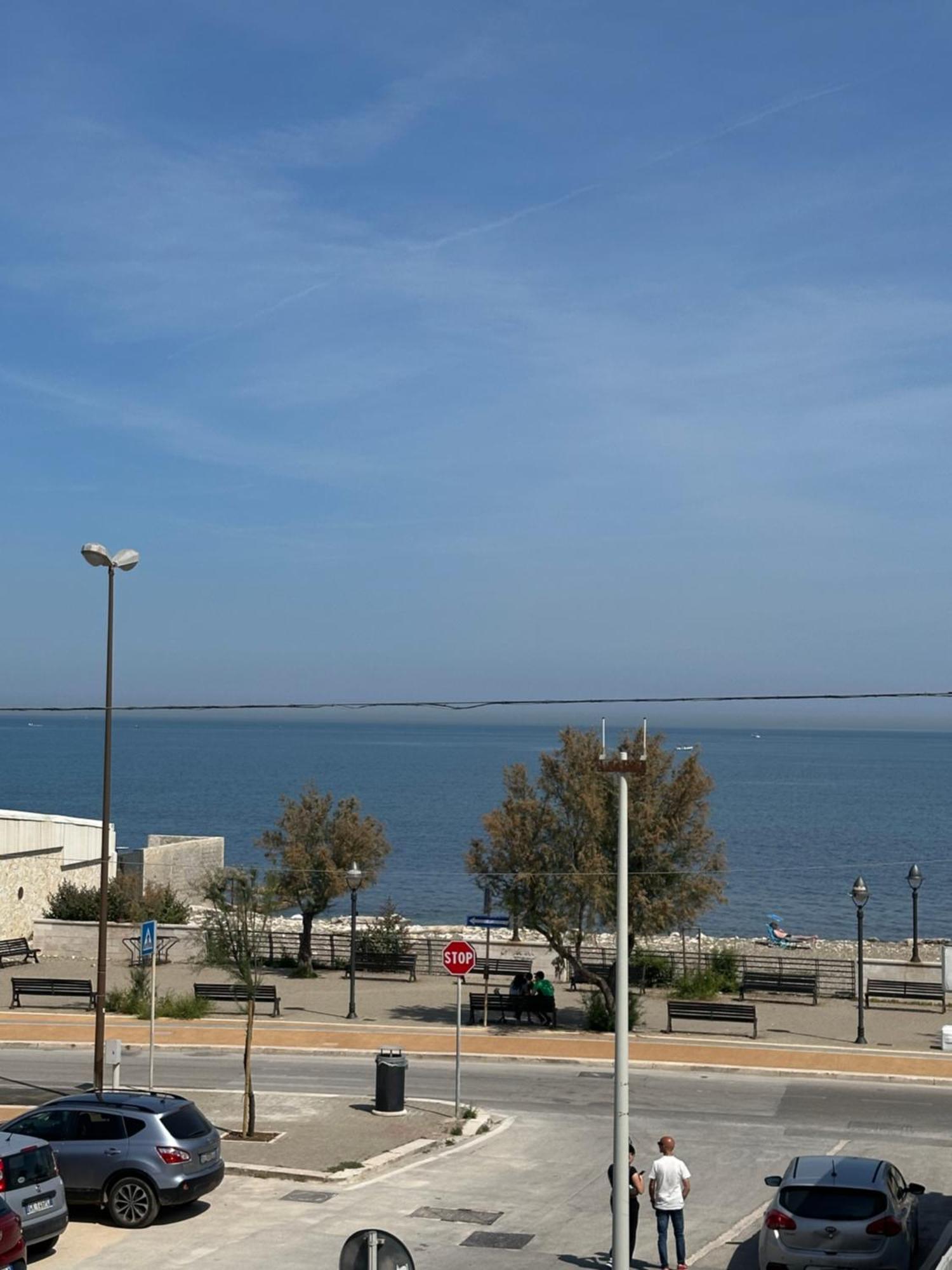 Apartment Andrea Luxury *