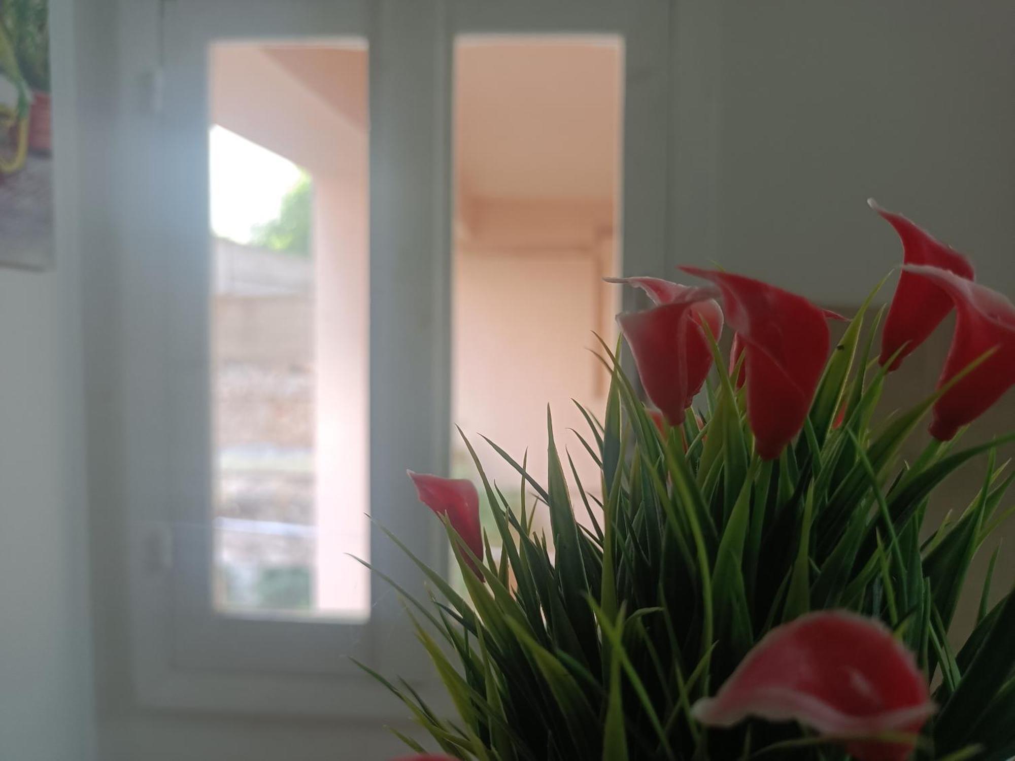 Bari Cottage Guest house *
