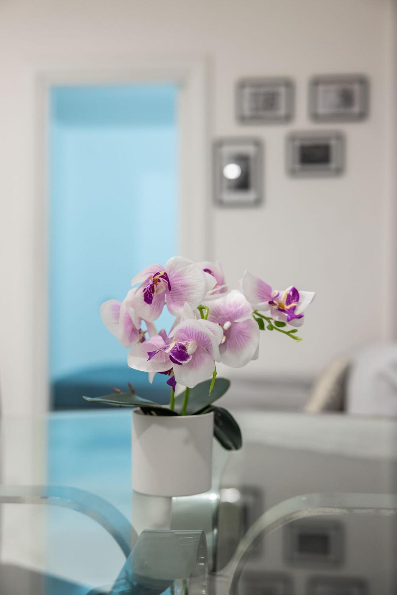 Apartment Chic House *