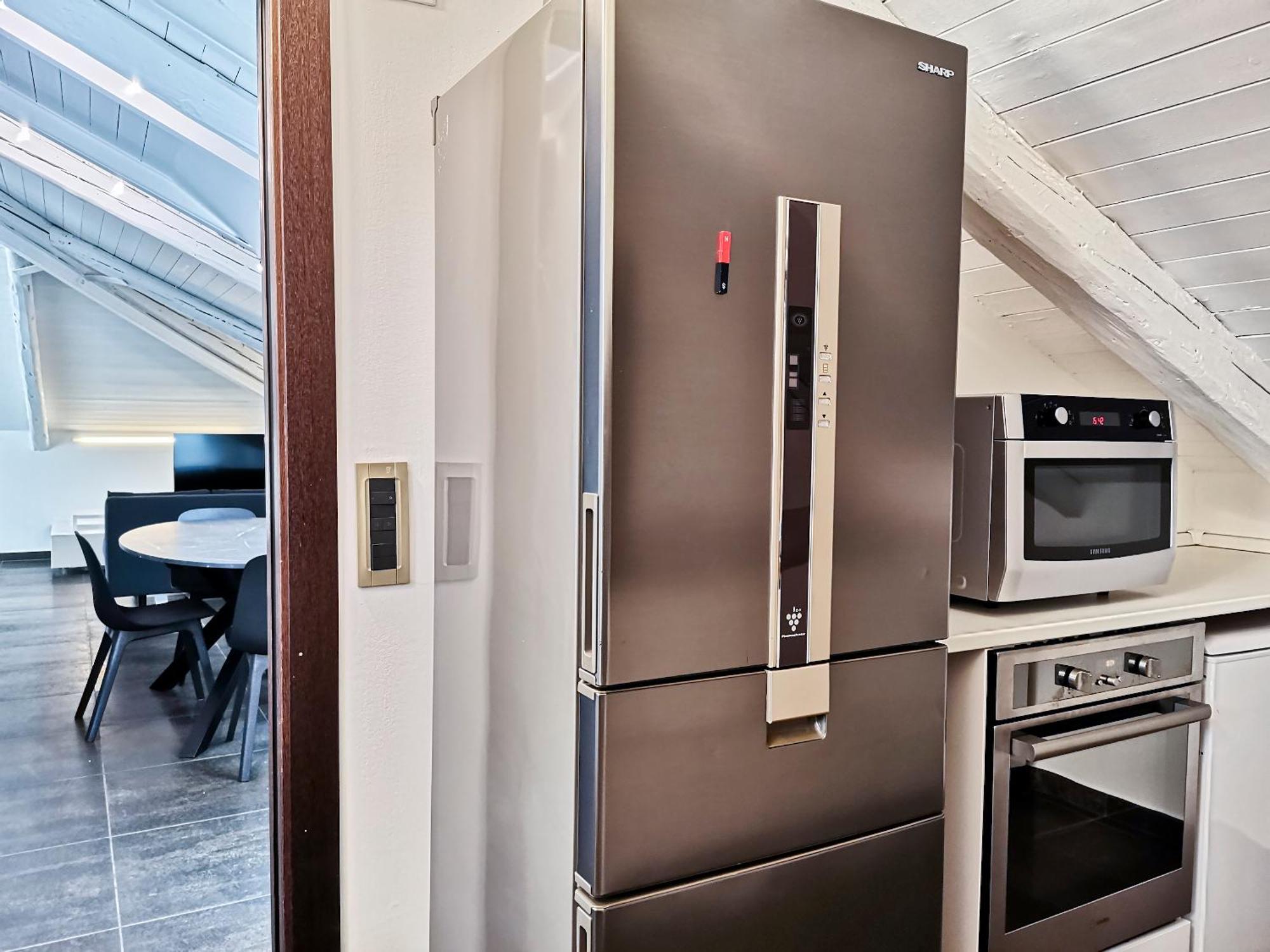 Petruzzelli Loft Appartamento *
