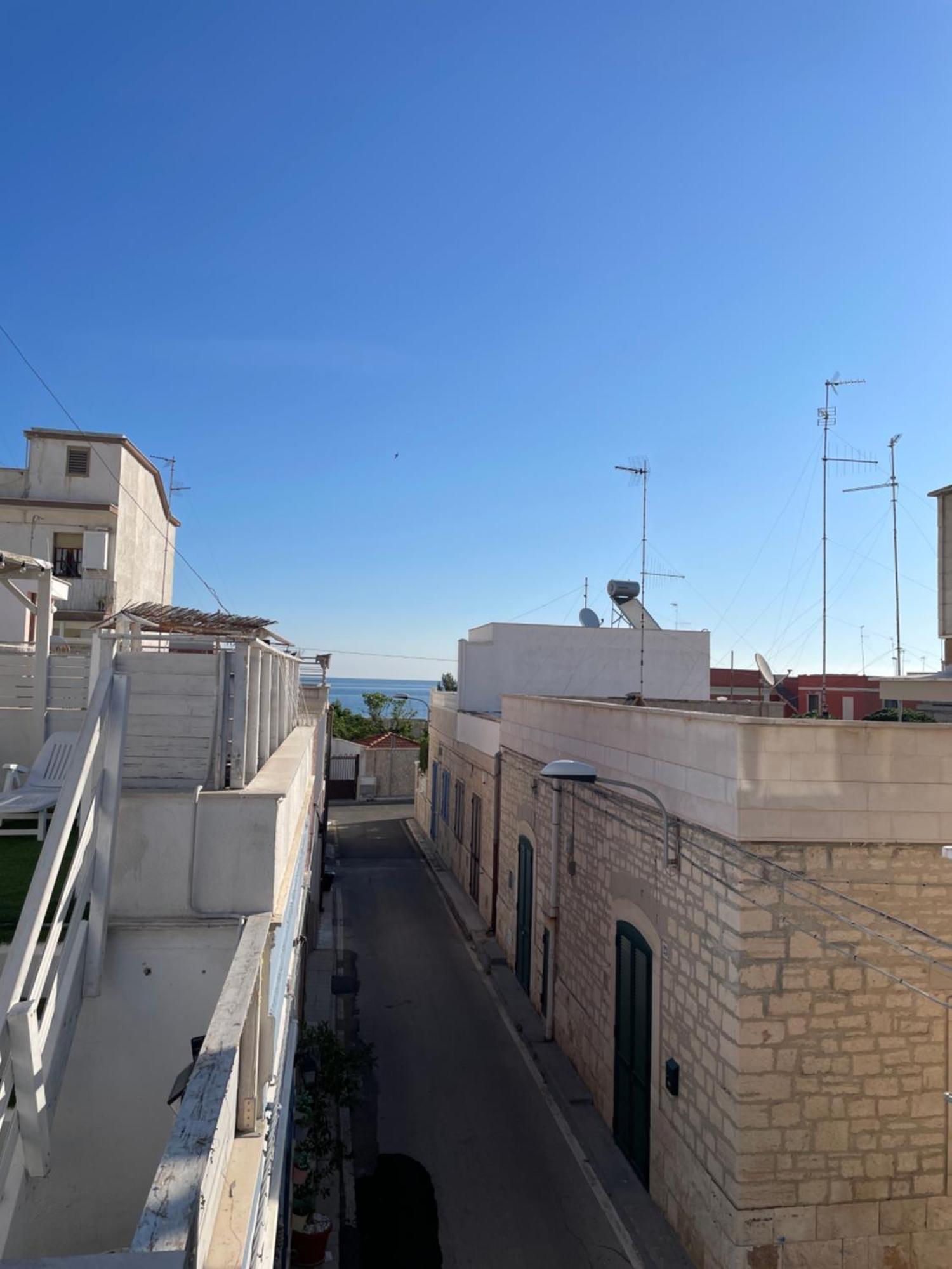 Yali * Bari