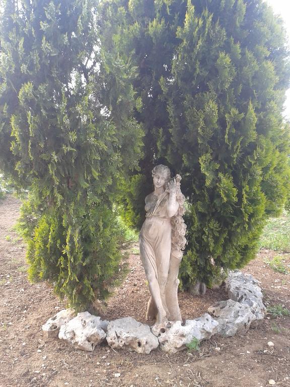 Guest house Simpson - Aeroporto Di - Bari