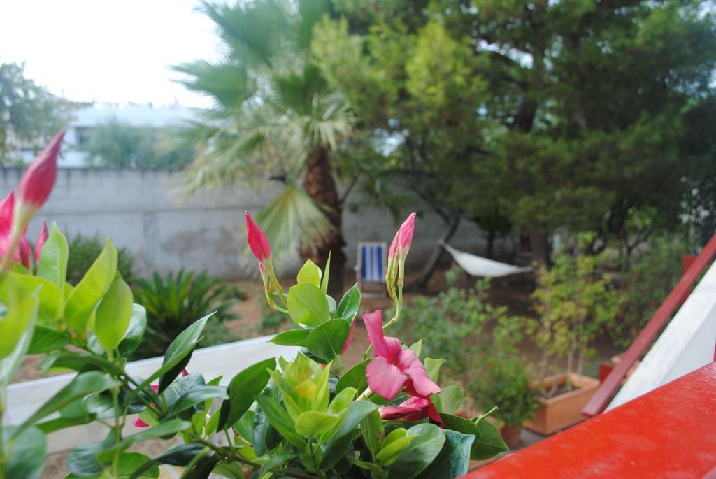 Bed & Breakfast Annavi *