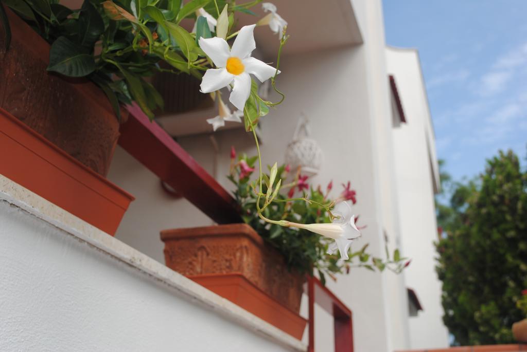 Bed & Breakfast Annavi