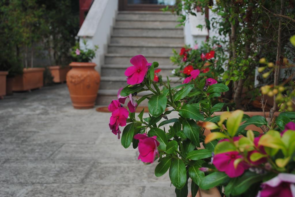Annavi Bed & Breakfast