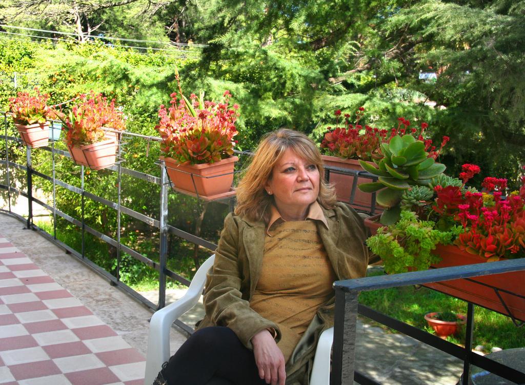 Pallante Panzió *