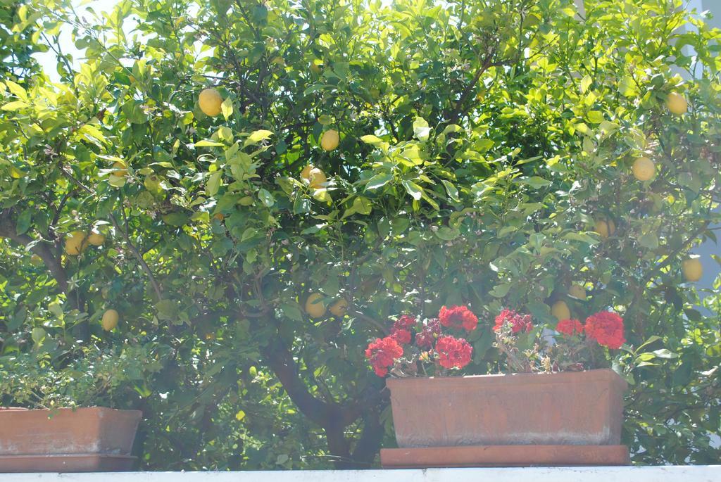 Bed & Breakfast Annavi *