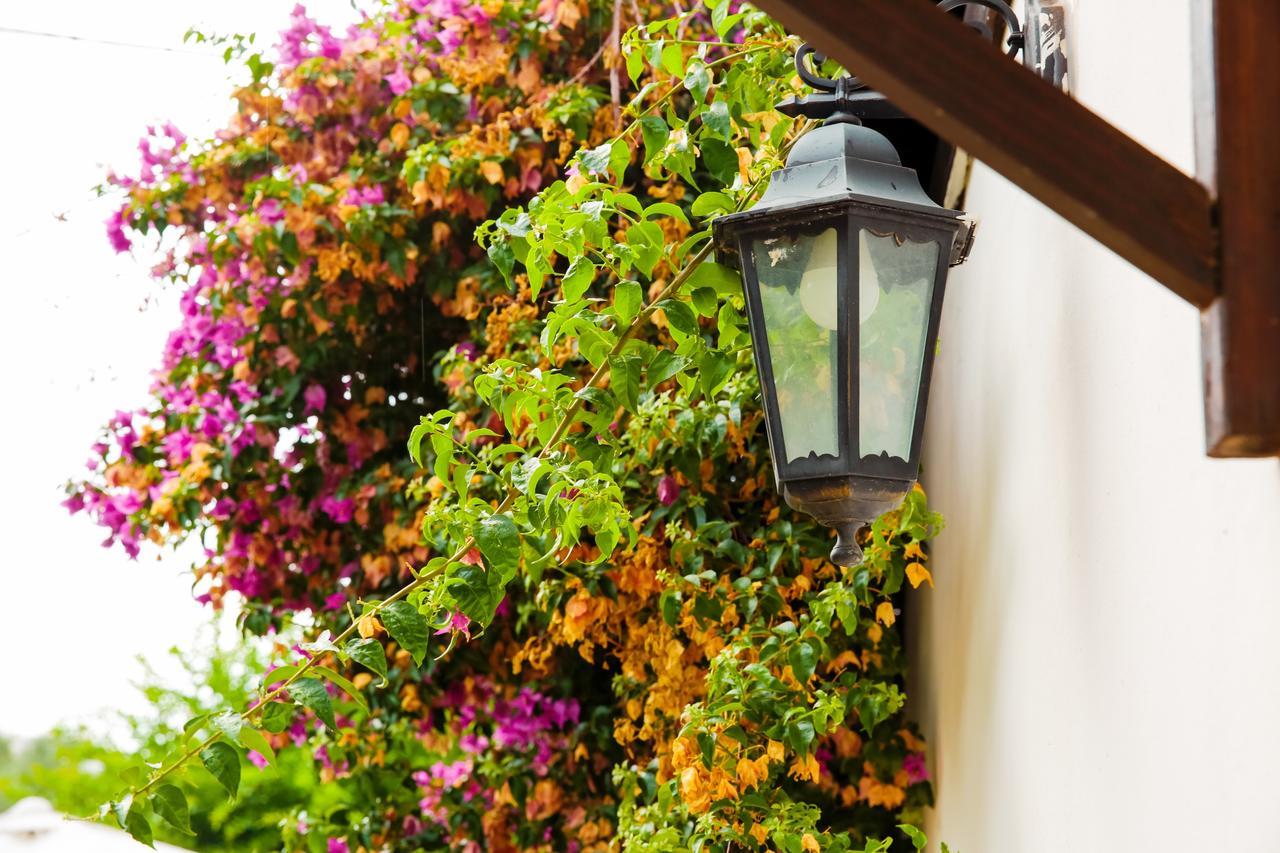 Bed & Breakfast Santa Fara 3*