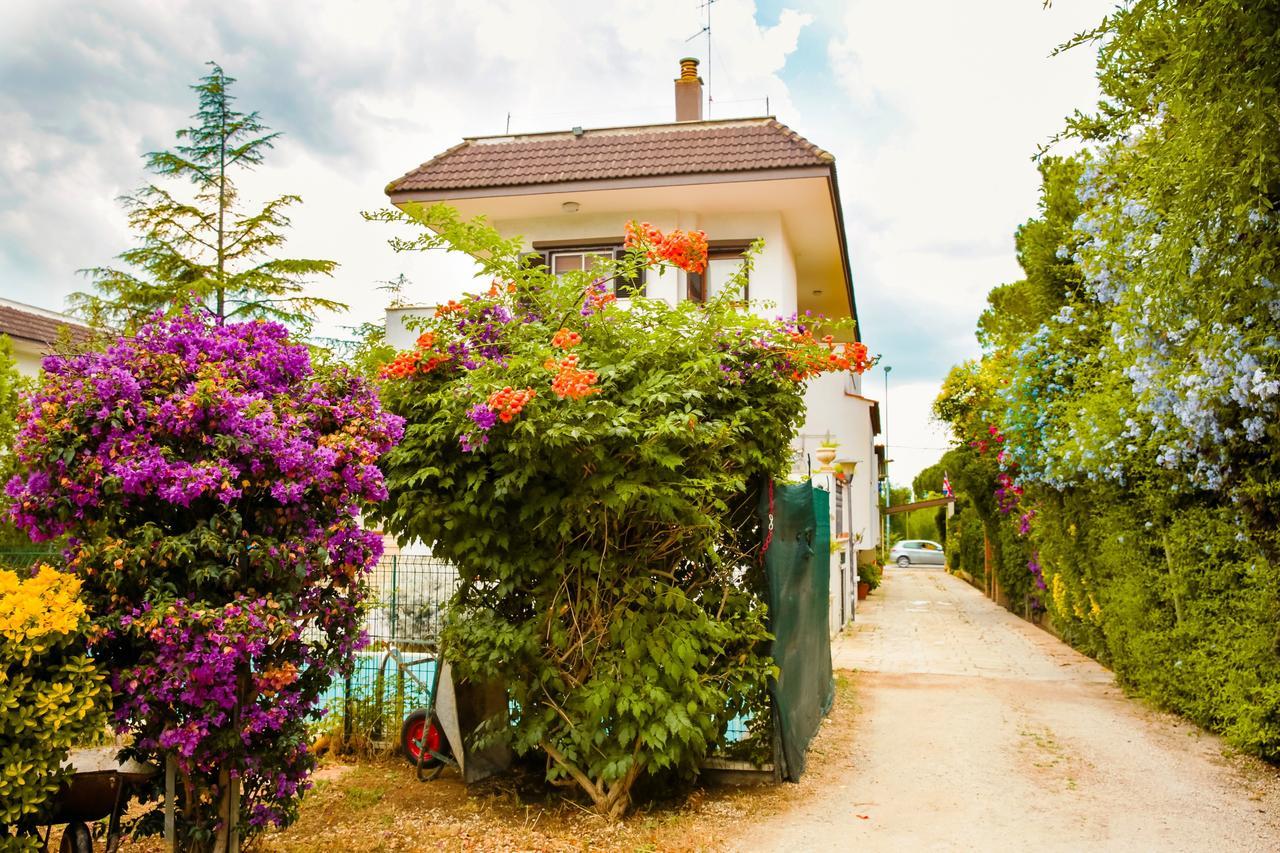 Santa Fara Bed & Breakfast Bari