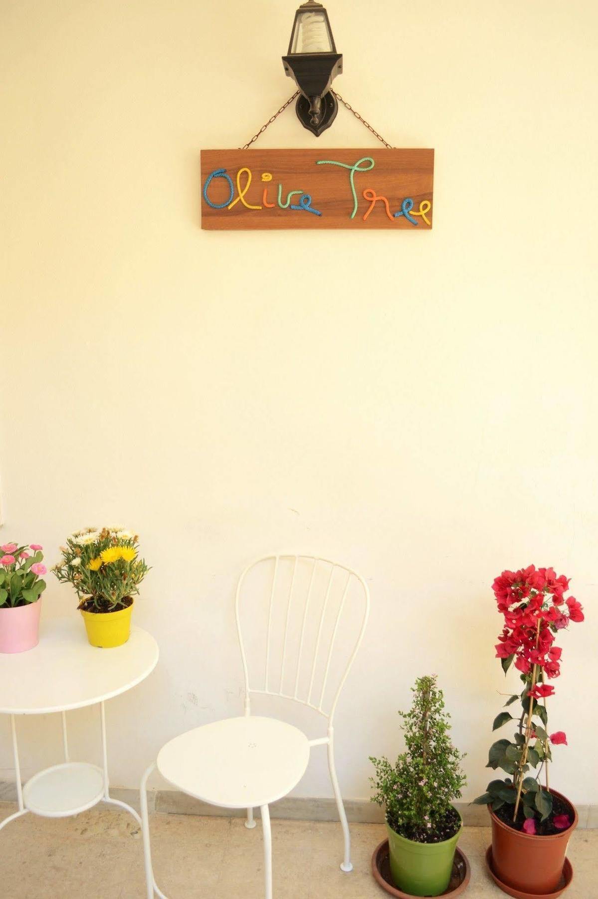 Hostel Olive Tree *