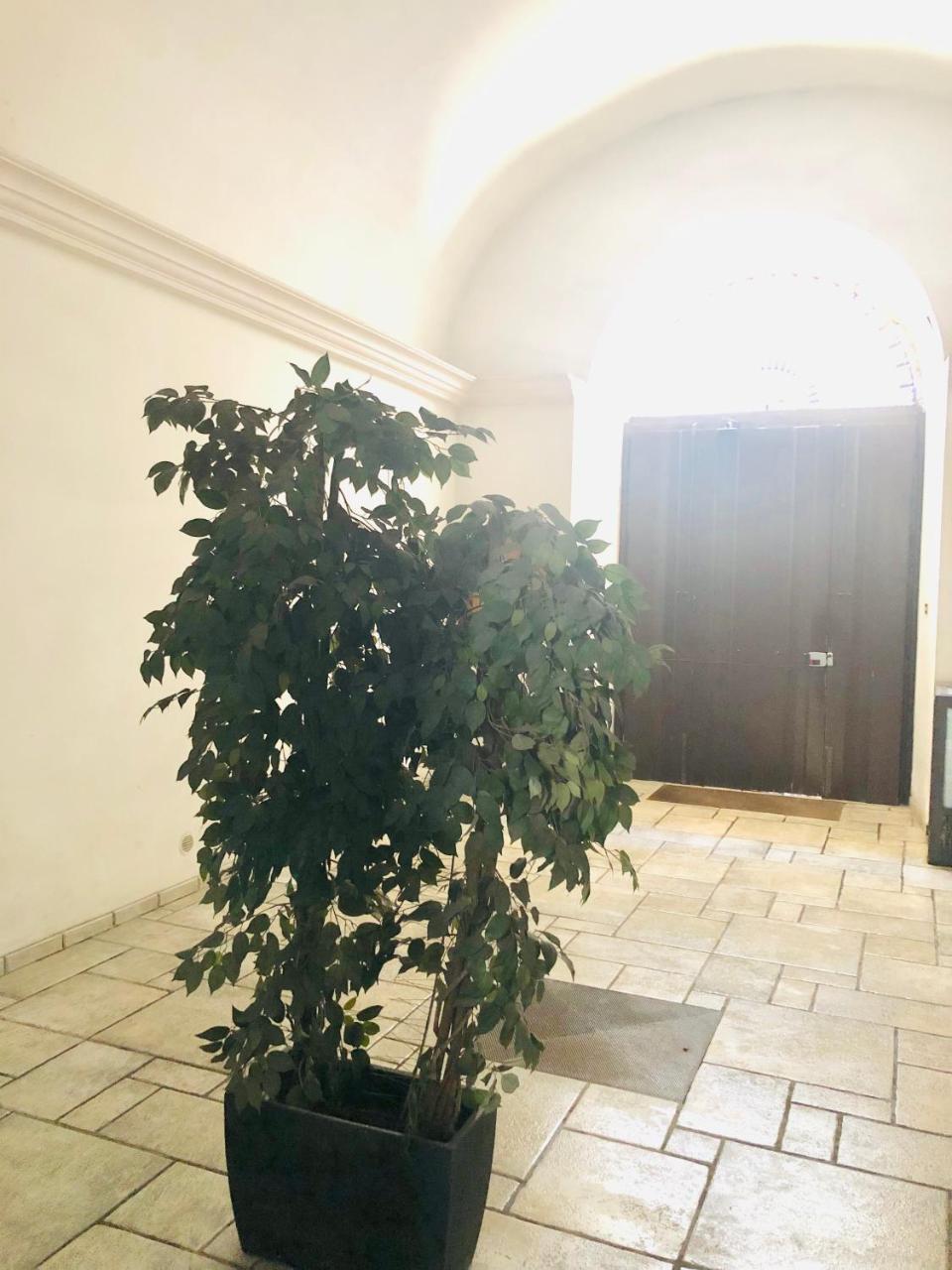 Apartment Baricityhouse Bari