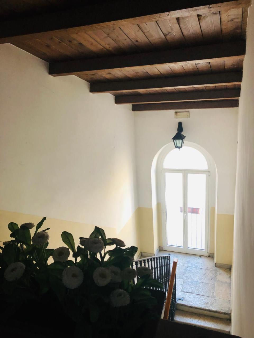 Baricityhouse
