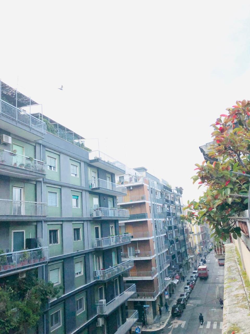 Baricityhouse Apartment Bari
