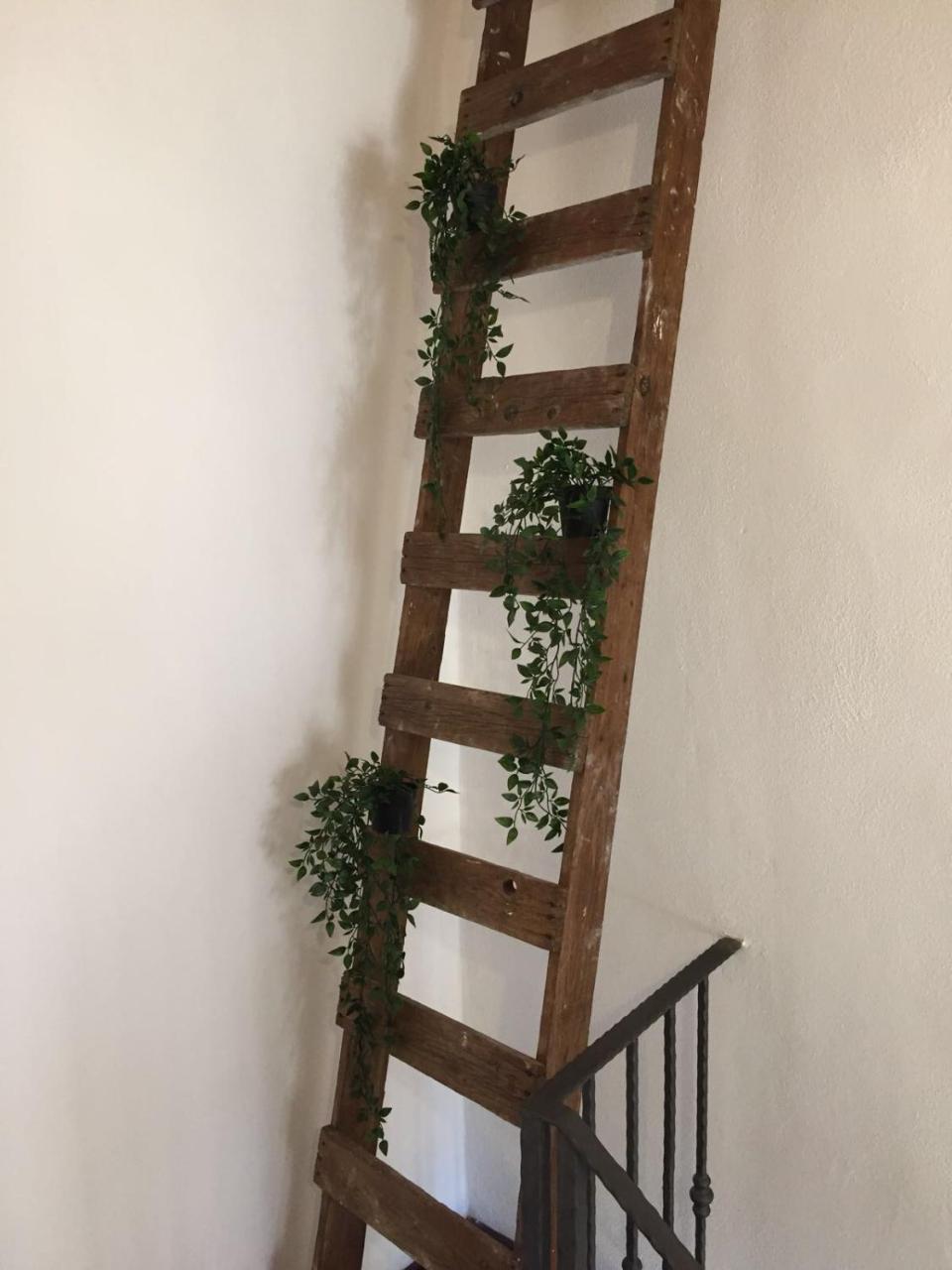 Bed & Breakfast La Corte San Francesco 2*