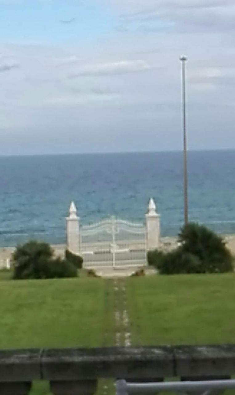 Longo De Bellis