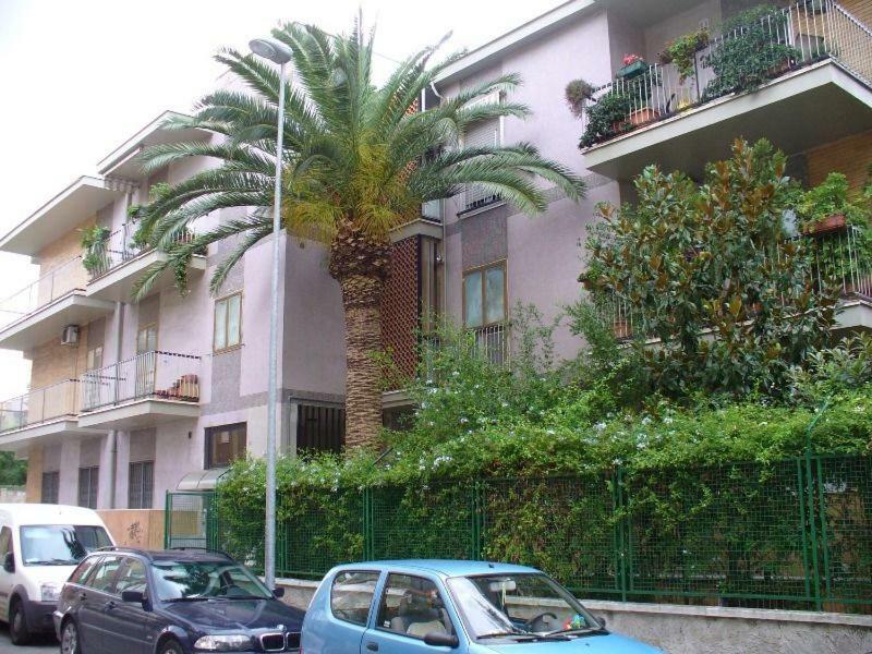 Gatto Bianco Picone 19 2*