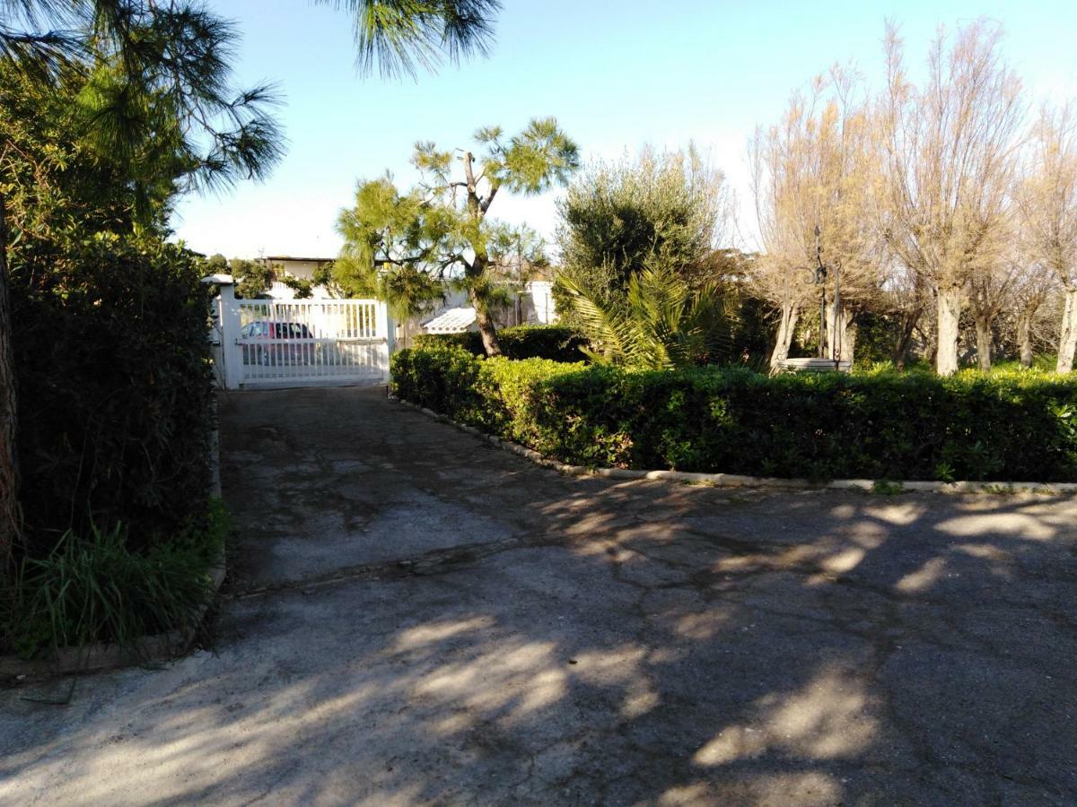 Pietra Di Mare *