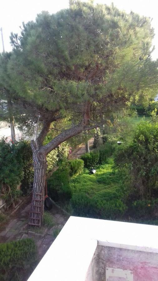Alma Villa Bari