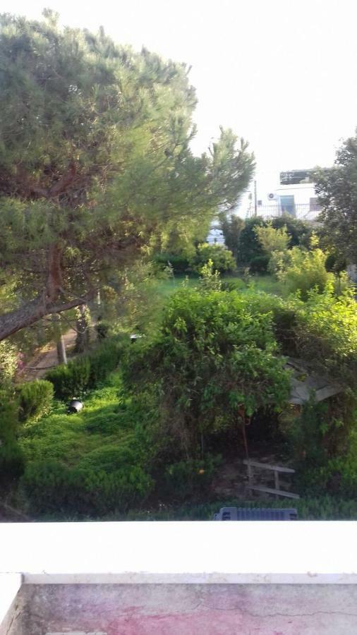 Alma Villa