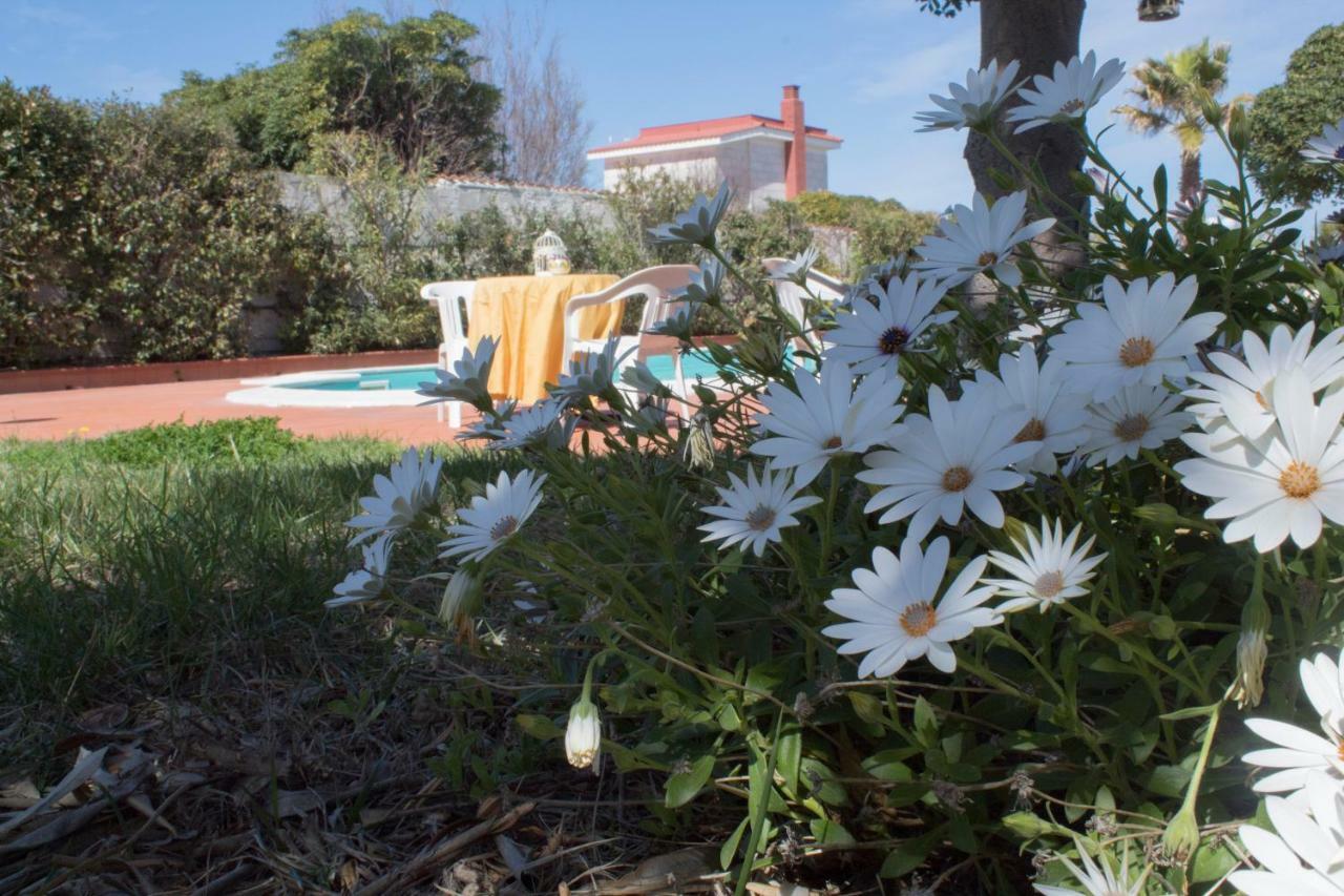 Bed & Breakfast Terradamarebari 3*
