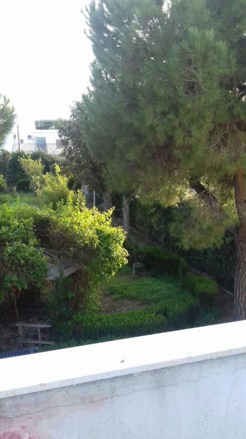 Villa Alma Bari