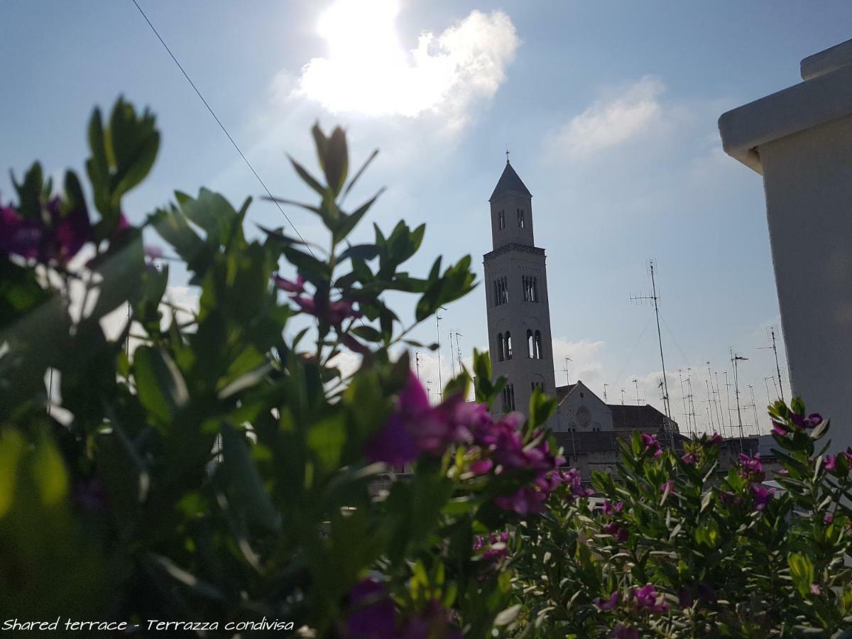 Apartament Enjoy - Palazzo Del Lauro *