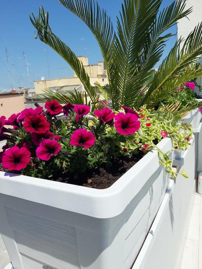 Attico Con Terrazza A Apartment Bari