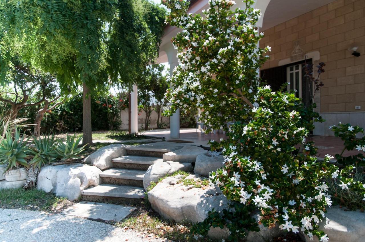 Bed & Breakfast Terradamarebari