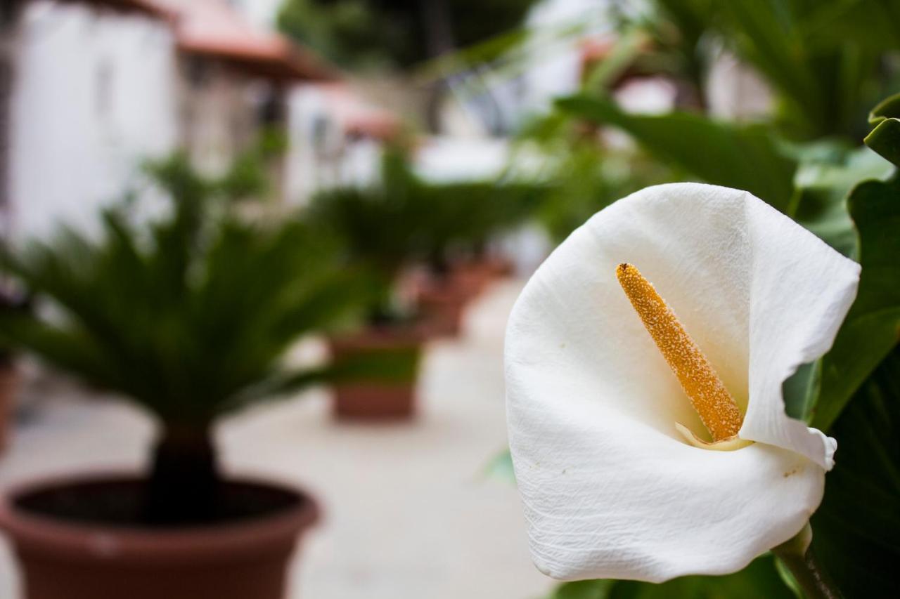 I Giardini Di Edicart Appartement