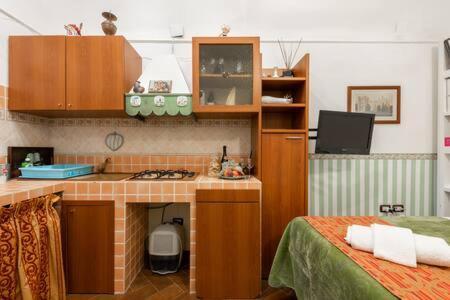 Apartment Tanasa Design
