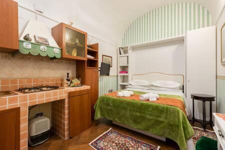 Tanasa Design Apartment *