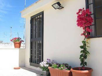 Olive Tree Hostel