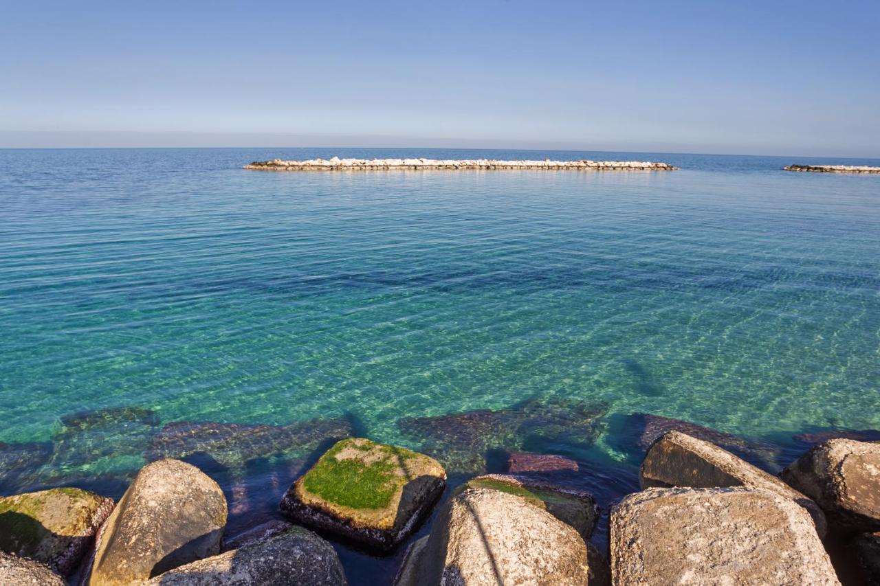 Madonella Con Terrazzo Apartment Bari